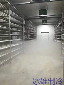 全球市场持续扩张，制冷设备行业步入黄金发展期